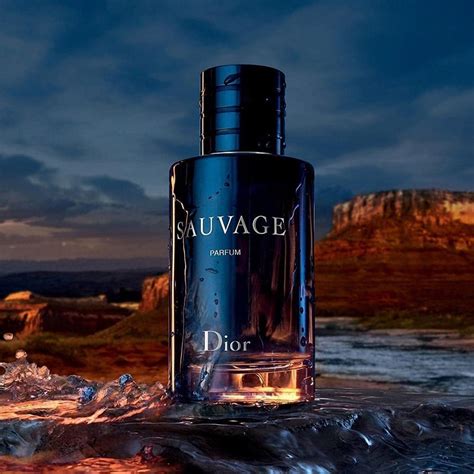 christian dior sauvage 200 ml|dior sauvage 100 ml price.